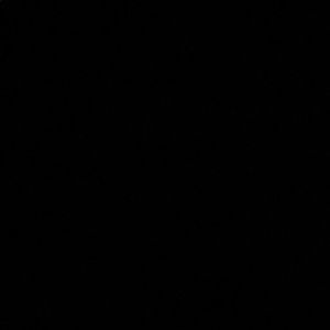 Meet your Posher, Eva